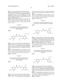 NOVEL COMPOUNDS, ISOMER THEREOF, OR PHARMACEUTICALLY ACCEPTABLE SALTS     THEREOF AS VANILLOID RECEPTOR ANTAGONIST; AND PHARMACEUTICAL COMPOSITIONS     CONTAINING THE SAME diagram and image