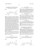 NOVEL COMPOUNDS, ISOMER THEREOF, OR PHARMACEUTICALLY ACCEPTABLE SALTS     THEREOF AS VANILLOID RECEPTOR ANTAGONIST; AND PHARMACEUTICAL COMPOSITIONS     CONTAINING THE SAME diagram and image