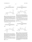 NOVEL COMPOUNDS, ISOMER THEREOF, OR PHARMACEUTICALLY ACCEPTABLE SALTS     THEREOF AS VANILLOID RECEPTOR ANTAGONIST; AND PHARMACEUTICAL COMPOSITIONS     CONTAINING THE SAME diagram and image