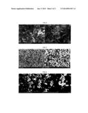 ENVIRONMENTALLY FRIENDLY BACKSHEET FOR SOLAR CELL AND METHOD OF     MANUFACTURING THE SAME diagram and image