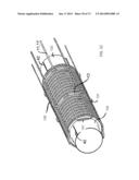 Variably Flexible Insertion Device and Method for Variably Flexing an     Insertion Device diagram and image