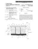 IMPLANTABLE VASCULAR SYSTEM BIOSENSOR WITH GROWN CAPILLARY BEDS AND USES     THEREOF diagram and image