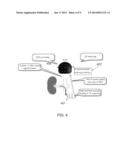 METHOD AND/OR APPARATUS FOR MEASURING RENAL DENERVATION EFFECTIVENESS diagram and image