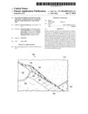 SYSTEMS, METHODS, AND DEVICES FOR TREATING A TISSUE SITE ON A MAMMAL     HAVING HAIR PROXIMATE THE TISSUE SITE diagram and image