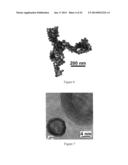 Targeted hollow gold nanostructures and methods of use diagram and image