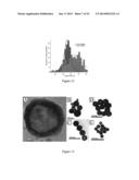 Targeted hollow gold nanostructures and methods of use diagram and image