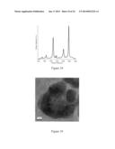 Targeted hollow gold nanostructures and methods of use diagram and image