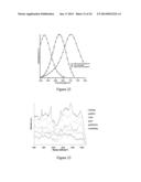 Targeted hollow gold nanostructures and methods of use diagram and image