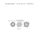 Targeted hollow gold nanostructures and methods of use diagram and image