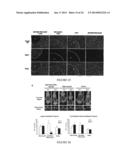 Targeted hollow gold nanostructures and methods of use diagram and image