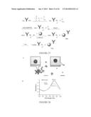 Targeted hollow gold nanostructures and methods of use diagram and image