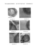 Targeted hollow gold nanostructures and methods of use diagram and image