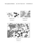 Targeted hollow gold nanostructures and methods of use diagram and image