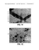 DEVICE AND METHOD FOR MANAGEMENT OF ANEURISM, PERFORATION AND OTHER     VASCULAR ABNORMALITIES diagram and image