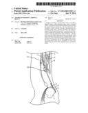 METHOD OF MENDING A GROINAL DEFECT diagram and image