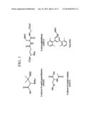 AMPEROMETRIC SENSORS AND DEVICES FOR MEASURING CONCENTRATION OF     S-NITROSOTHIOLS BASED ON PHOTO-INDUCED DECOMPOSITION OF S-NITROSOTHIOLS diagram and image