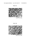 ELECTRON MICROSCOPE SAMPLE HOLDER AND SAMPLE OBSERVATION METHOD diagram and image