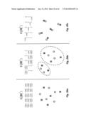 SYSTEMS AND METHODS TO COORDINATE TRANSMISSIONS IN DISTRIBUTED WIRELESS     SYSTEMS VIA USER CLUSTERING diagram and image