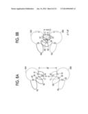 DEVELOPING DEVICE AND IMAGE FORMING DEVICE diagram and image