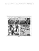 MANIPULATION OF FLUIDS IN THREE-DIMENSIONAL POROUS PHOTONIC STRUCTURES     WITH PATTERNED SURFACE PROPERTIES diagram and image