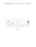 MANIPULATION OF FLUIDS IN THREE-DIMENSIONAL POROUS PHOTONIC STRUCTURES     WITH PATTERNED SURFACE PROPERTIES diagram and image