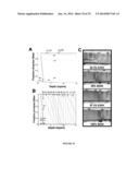 MANIPULATION OF FLUIDS IN THREE-DIMENSIONAL POROUS PHOTONIC STRUCTURES     WITH PATTERNED SURFACE PROPERTIES diagram and image