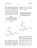 INHIBITORS OF HEPATITIS C VIRUS diagram and image