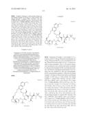 INHIBITORS OF HEPATITIS C VIRUS diagram and image