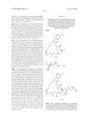 INHIBITORS OF HEPATITIS C VIRUS diagram and image