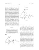 INHIBITORS OF HEPATITIS C VIRUS diagram and image