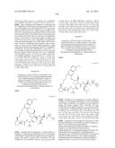 INHIBITORS OF HEPATITIS C VIRUS diagram and image