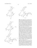 INHIBITORS OF HEPATITIS C VIRUS diagram and image