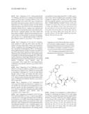 INHIBITORS OF HEPATITIS C VIRUS diagram and image