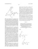 INHIBITORS OF HEPATITIS C VIRUS diagram and image