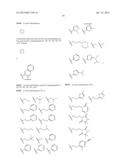 INHIBITORS OF HEPATITIS C VIRUS diagram and image