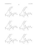 INHIBITORS OF HEPATITIS C VIRUS diagram and image