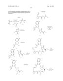 INHIBITORS OF HEPATITIS C VIRUS diagram and image