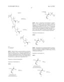 INHIBITORS OF HEPATITIS C VIRUS diagram and image