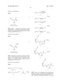 INHIBITORS OF HEPATITIS C VIRUS diagram and image