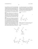 INHIBITORS OF HEPATITIS C VIRUS diagram and image