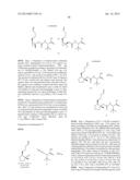 INHIBITORS OF HEPATITIS C VIRUS diagram and image