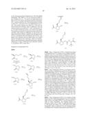 INHIBITORS OF HEPATITIS C VIRUS diagram and image