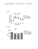 ANTI-BRADYKININ B2 RECEPTOR (BKB2R) MONOCLONAL ANTIBODY diagram and image