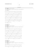 ANTI-BRADYKININ B2 RECEPTOR (BKB2R) MONOCLONAL ANTIBODY diagram and image