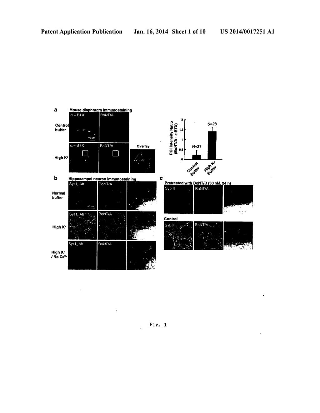 BOTULINUM NEUROTOXIN A RECEPTOR AND THE USE THEREOF - diagram, schematic, and image 02