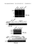 BOTULINUM NEUROTOXIN A RECEPTOR AND THE USE THEREOF diagram and image