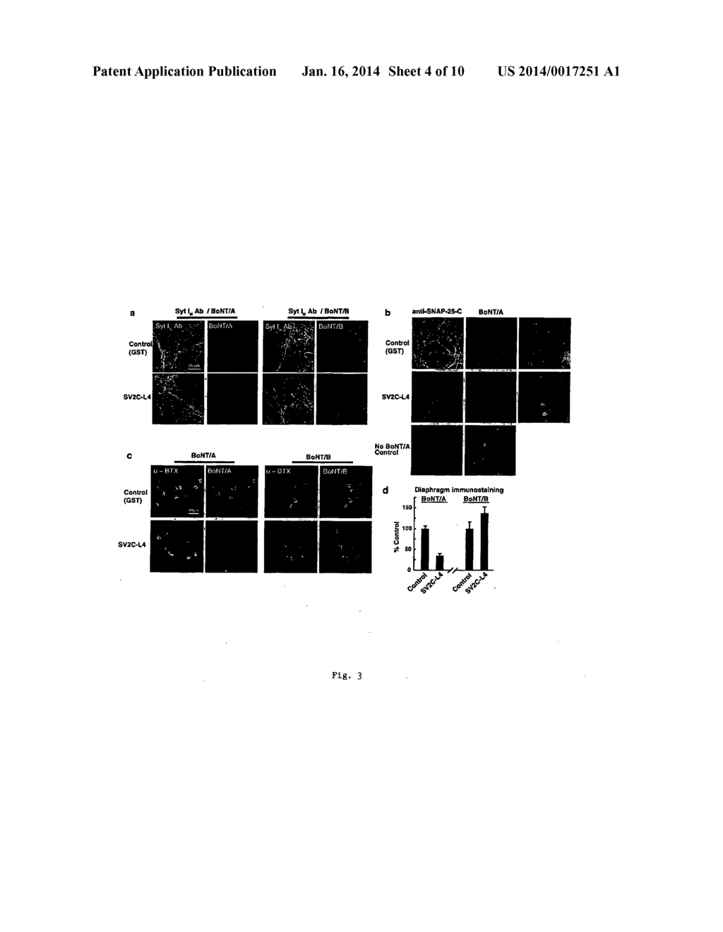 BOTULINUM NEUROTOXIN A RECEPTOR AND THE USE THEREOF - diagram, schematic, and image 05