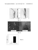 Delivery Agents for Targeted Treatment of Elastin Degradation diagram and image