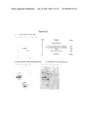 Albumin-Fused Anti-Angiogenesis Peptides diagram and image