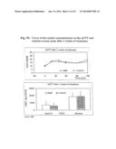 USE OF WHEY PERMEATE FOR THE TREATMENT OF METABOLIC SYNDROME diagram and image